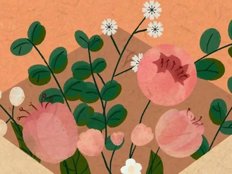 Una lettera alla famiglia di Jufeng