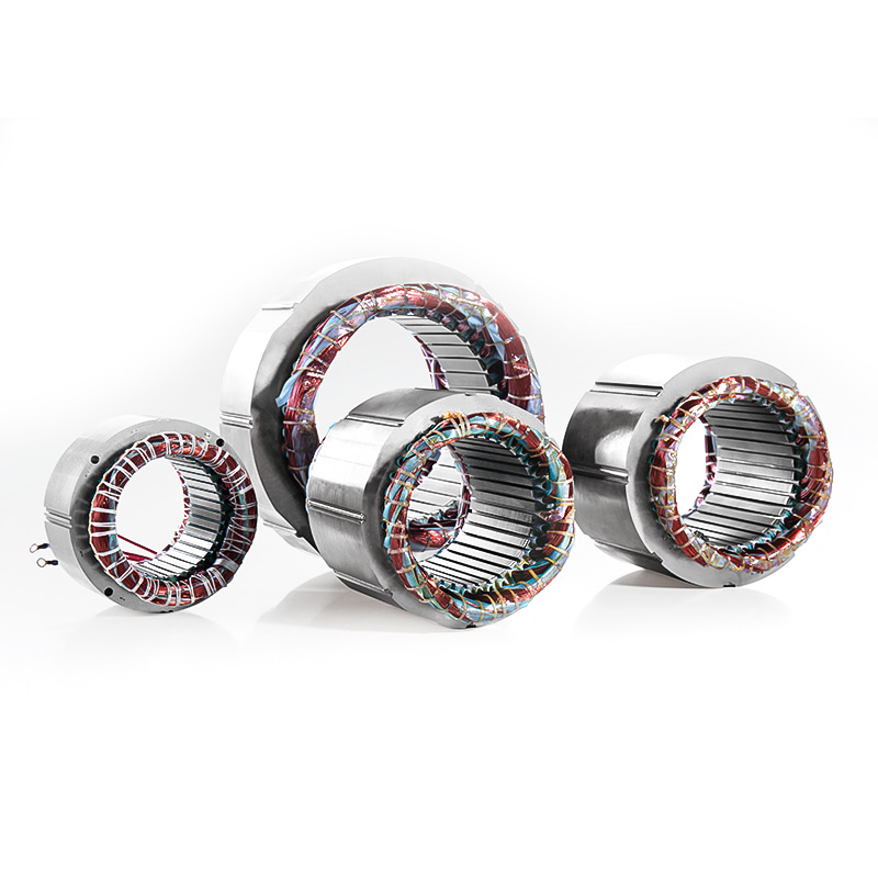 Statore e nucleo del rotore del motore dell'elettrodomestico