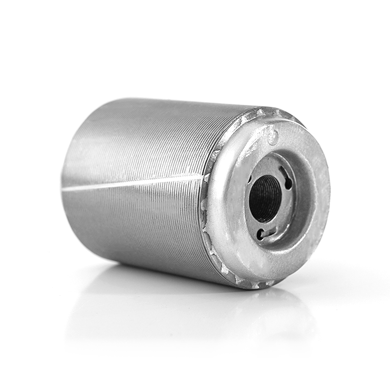 Statore e nucleo del rotore del motore dell'elettrodomestico