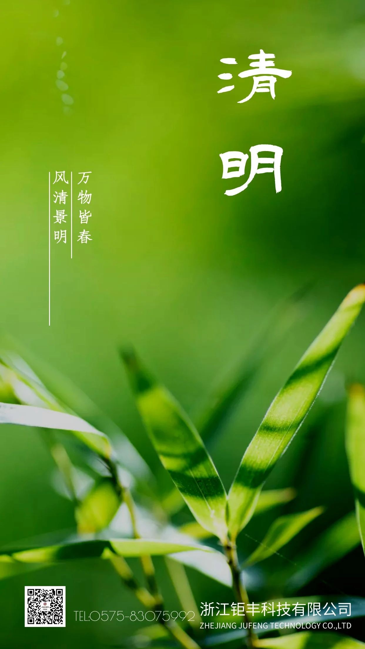 Qingming丨Il vento soffia e il Festival di Qingming è pieno di primavera