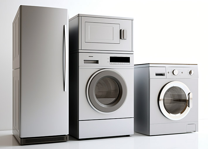 Statore e nucleo del rotore del motore dell'elettrodomestico