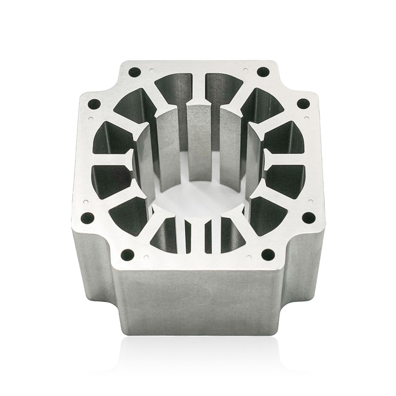 Rotore del motore passo-passo